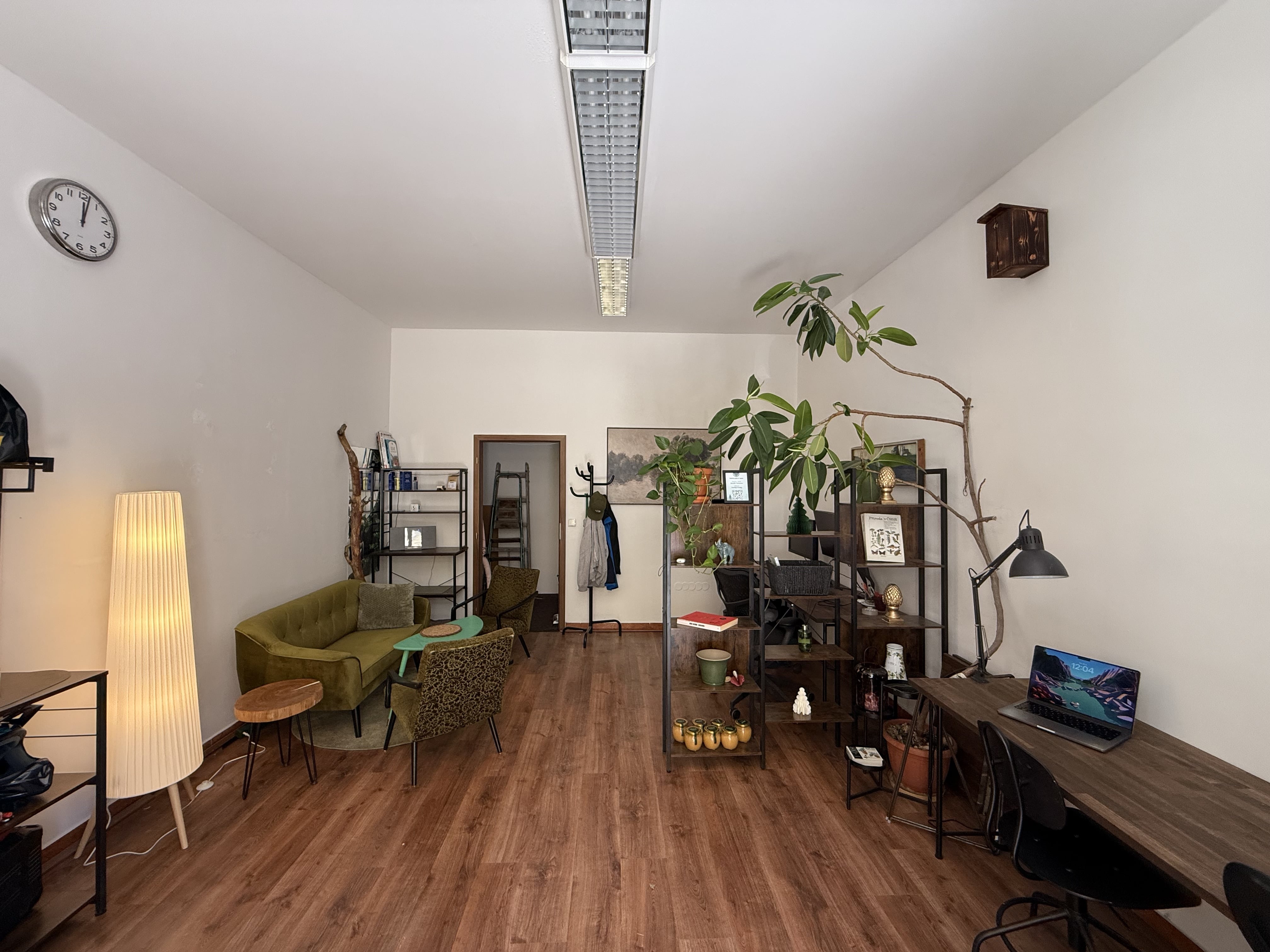 Celkový pohled na LES cowork